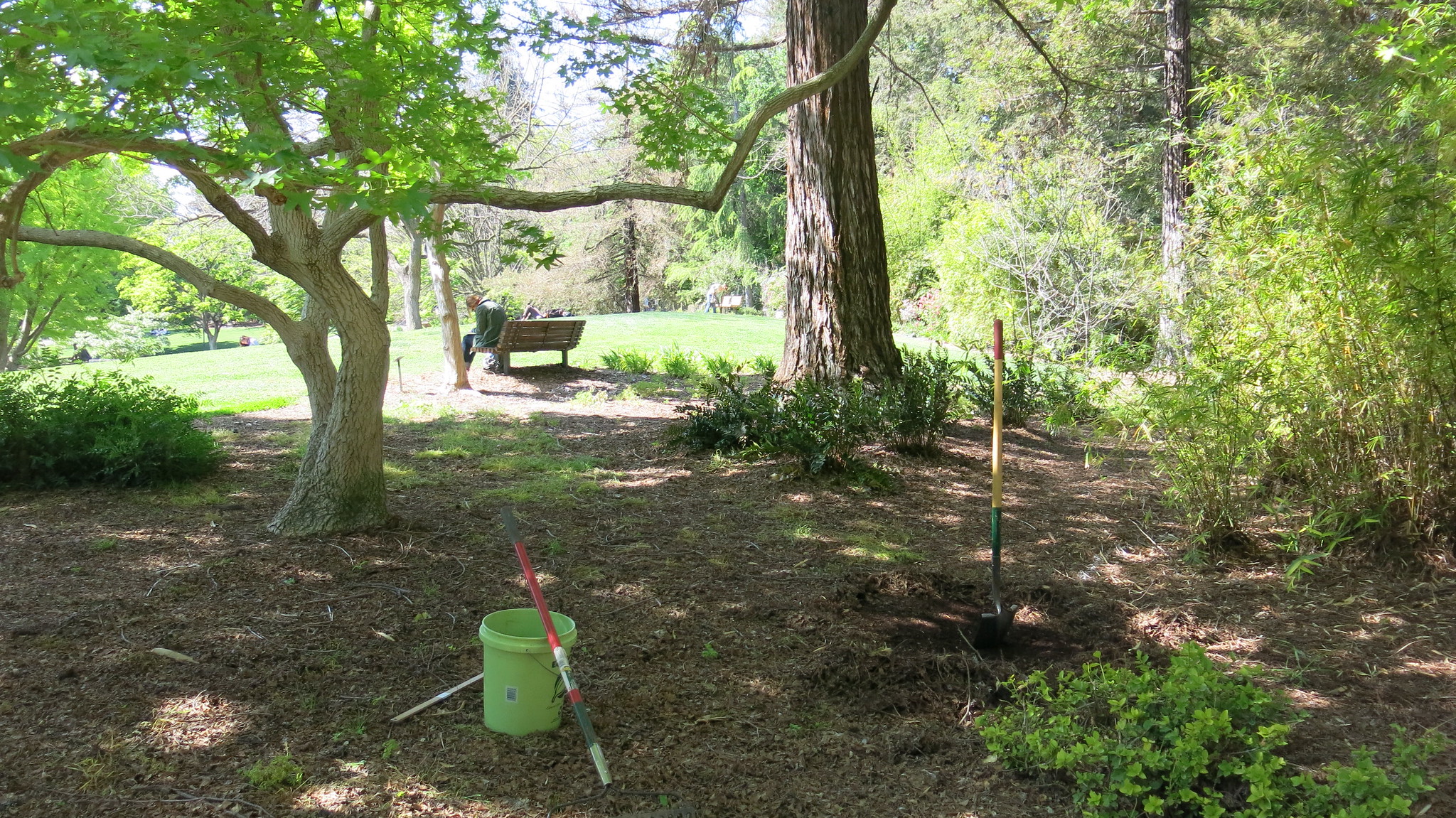 The Lost Skill of Soil Testing: How to Know Your Soil Before You Plant a Single Seed